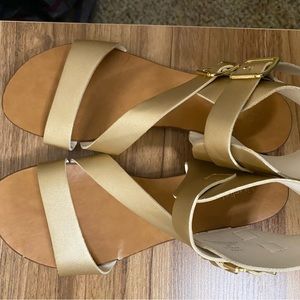 Golden buckle up sandals/ in very good condition
